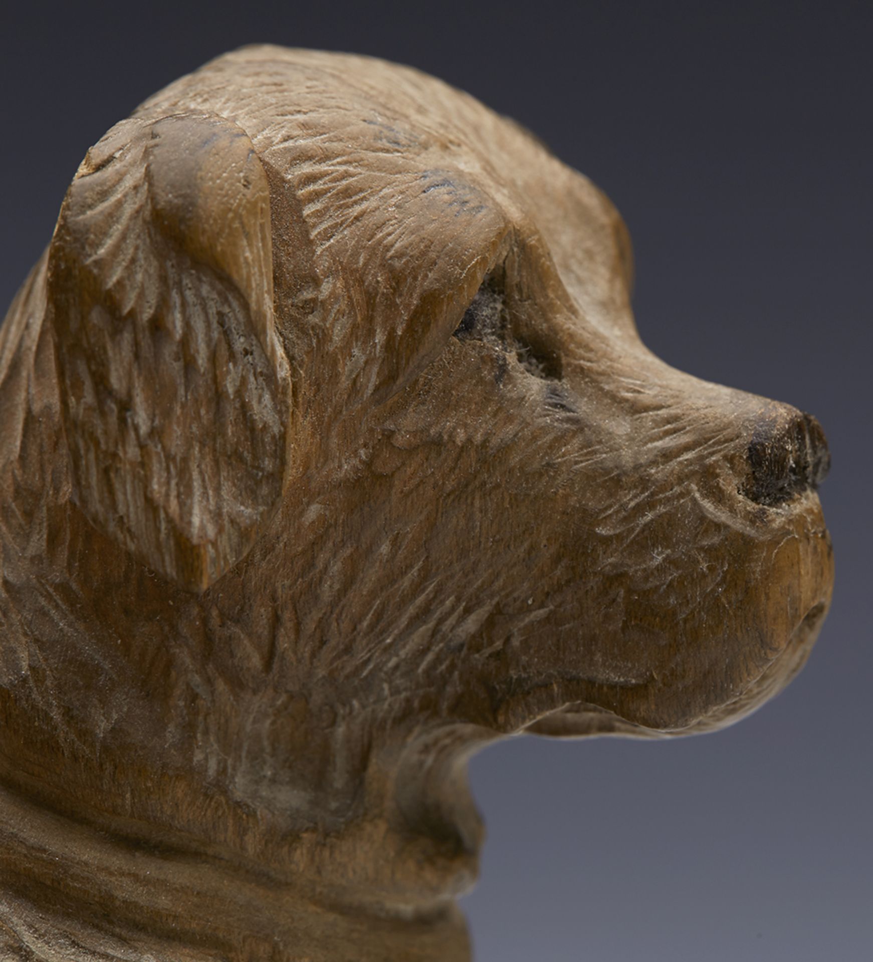 ANTIQUE CARVED BLACKFOREST FIGURE OF A SEATED DOG 19TH C.   DIMENSIONS   Height 10,5cm, Length 7cm - Image 5 of 14