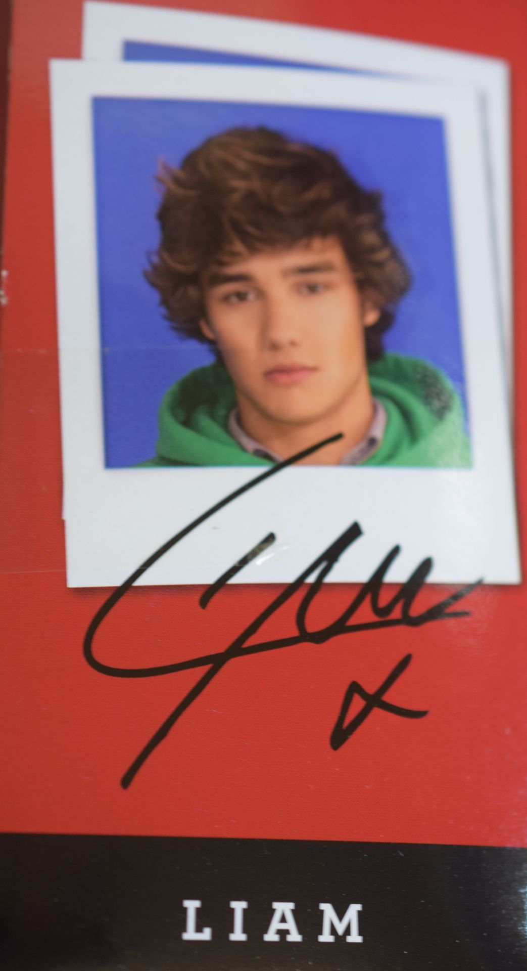 One Direction Limited Edition Liam Doll - Image 2 of 3