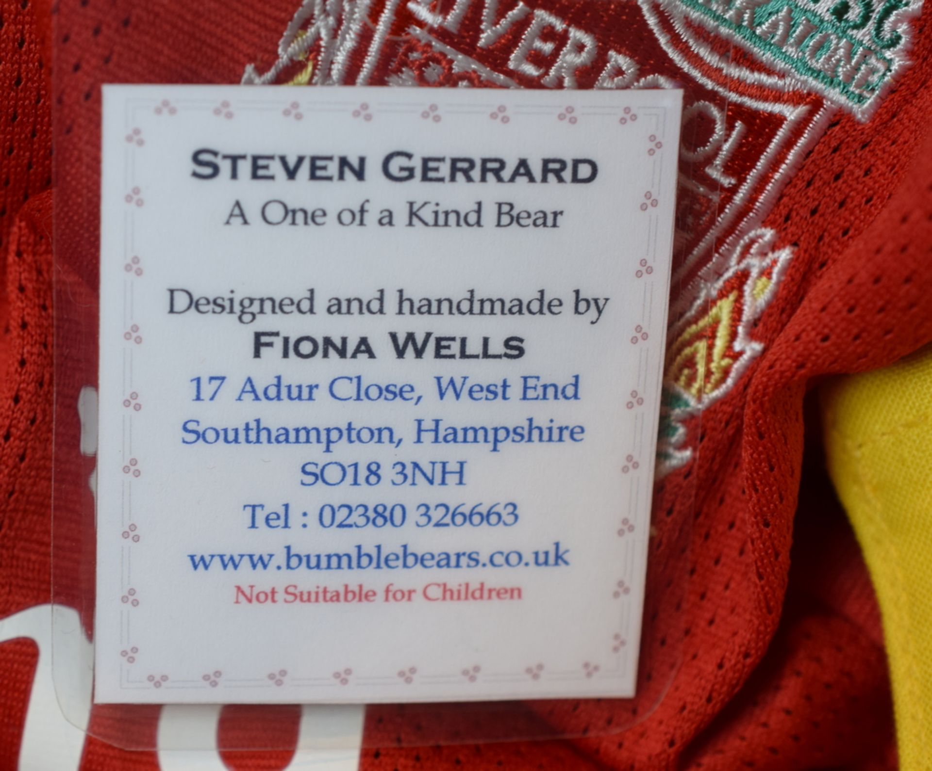 Steven Gerrard One Of A Kind Bear By Fiona Wells - Image 5 of 5