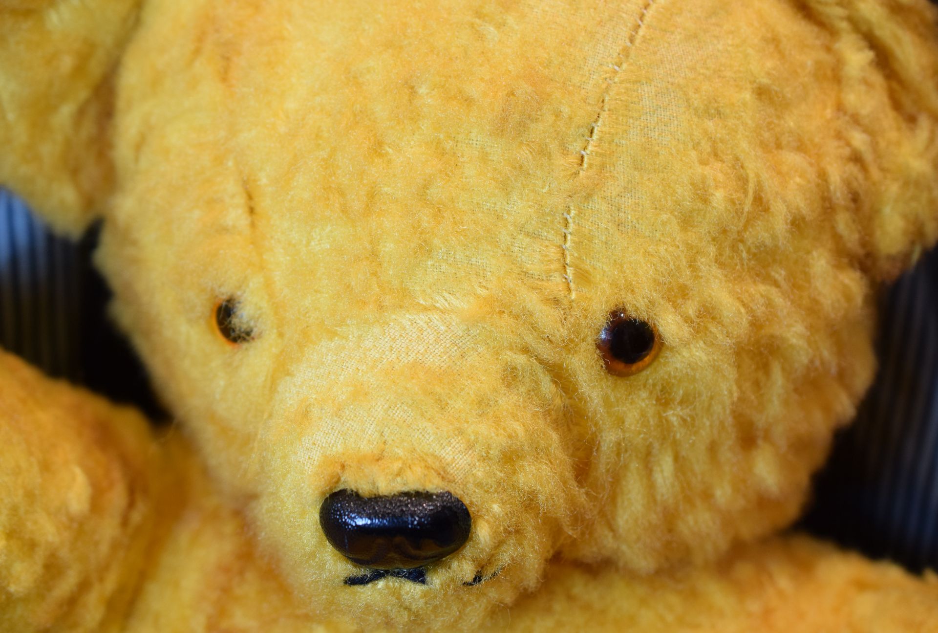 Vintage Big Teddy Bear c1950s - Image 3 of 3