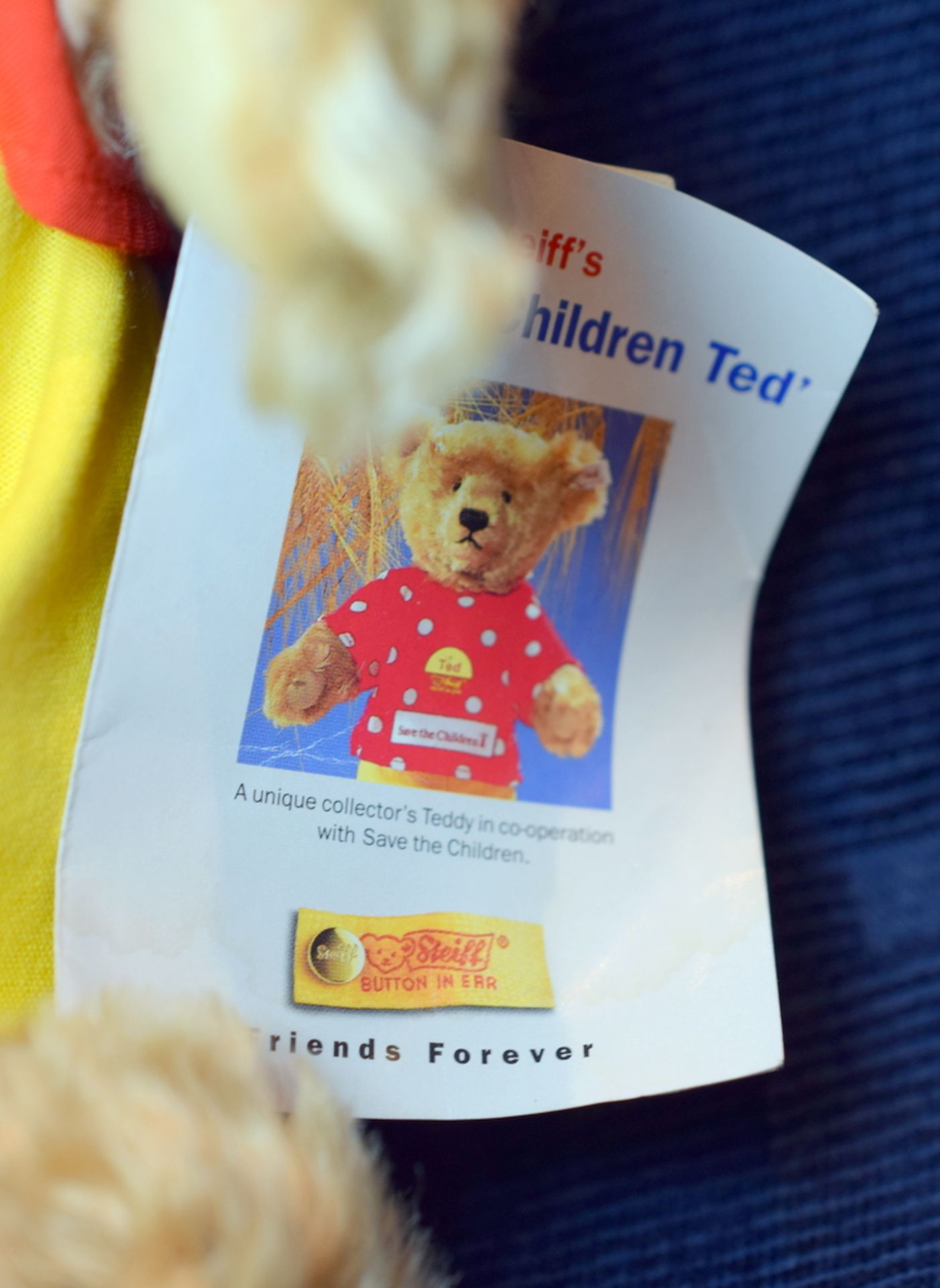 Save The Children Commemorative Bear - Image 4 of 4