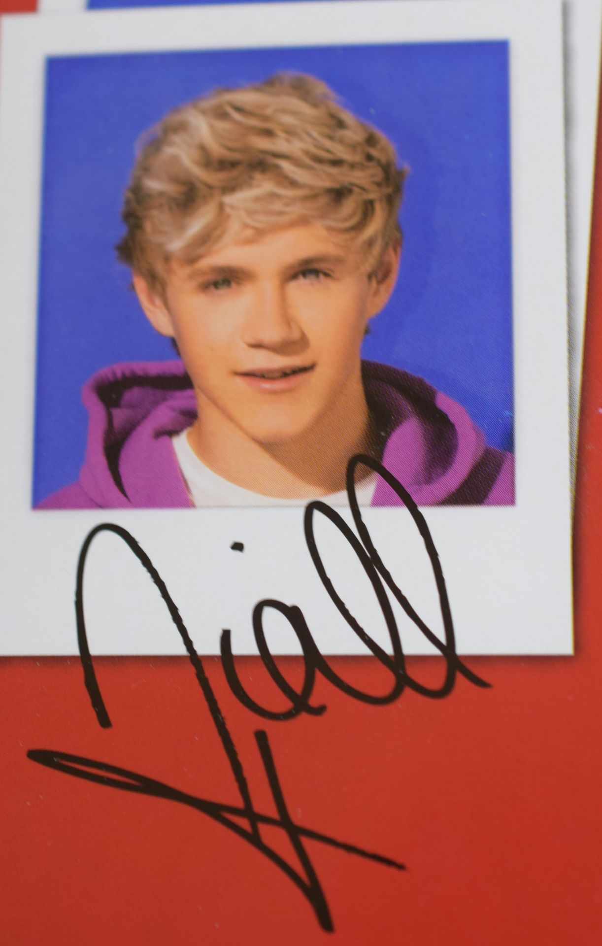 One Direction Limited Edition Niall Doll - Image 2 of 3