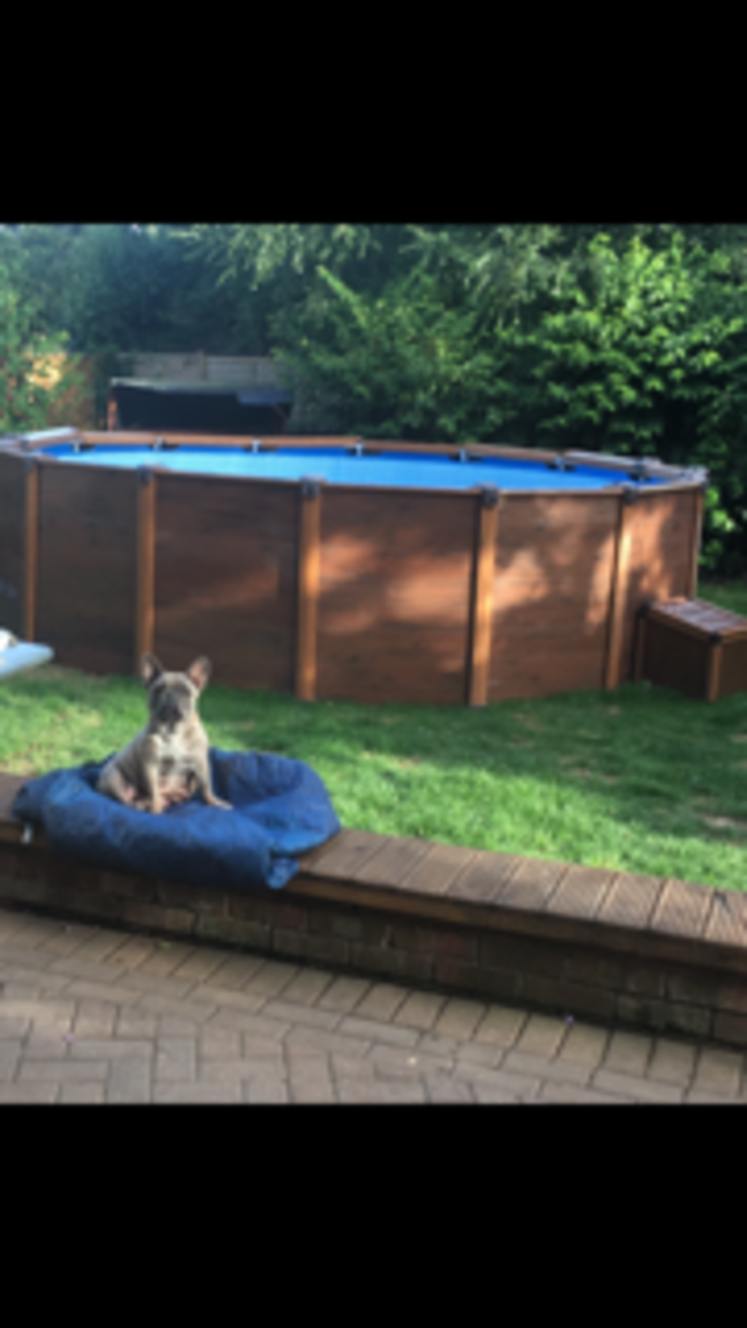 Intex 16x 4ft Swimming Pool with Pump and supplies - RRP £2000 - Image 2 of 2