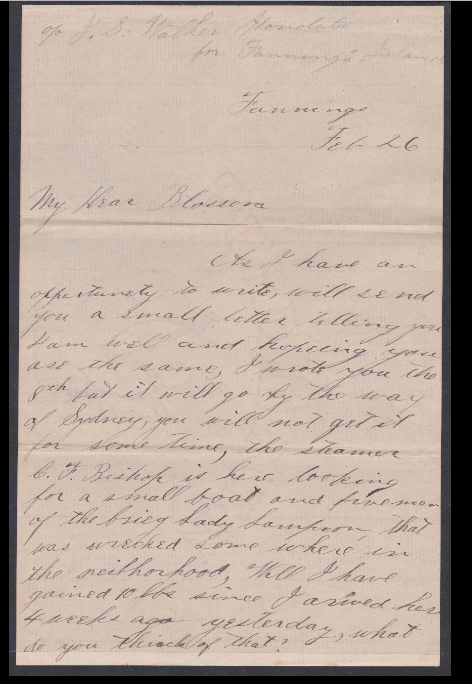 GILBERT & ELLICE ISLANDS - FANNING ISLAND / HAWAII 1893 - Envelope posted from Honolulu (Mar 21) - Image 3 of 6