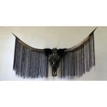 KOKO Texas longhorn skull. Skull Sculpture wall art Taurus