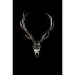 Mimiteh Portait Skull Photography Highland stag art chrome limited edition