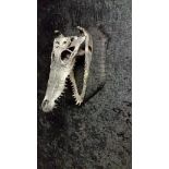 Mamba Machozi Camouflage Crocodile glow in the dark Wall sculpture skull art