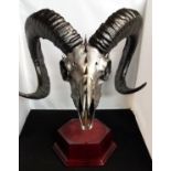 Jacob Ram Skull Aries skull art Horns mounted gothic sculpture