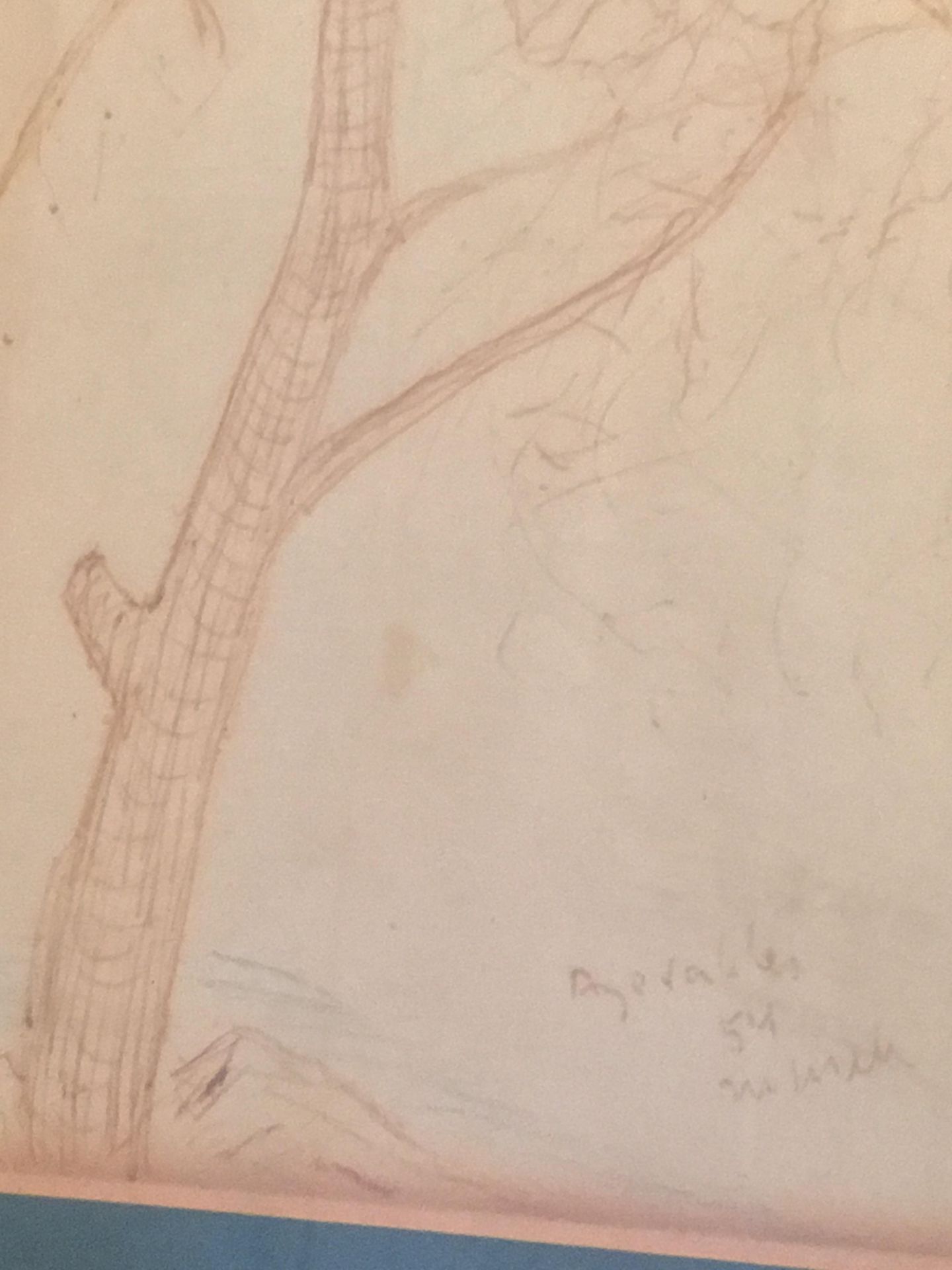 Tree sketch, Ink, signed by Marek Szwarc, 1954 - Image 2 of 3