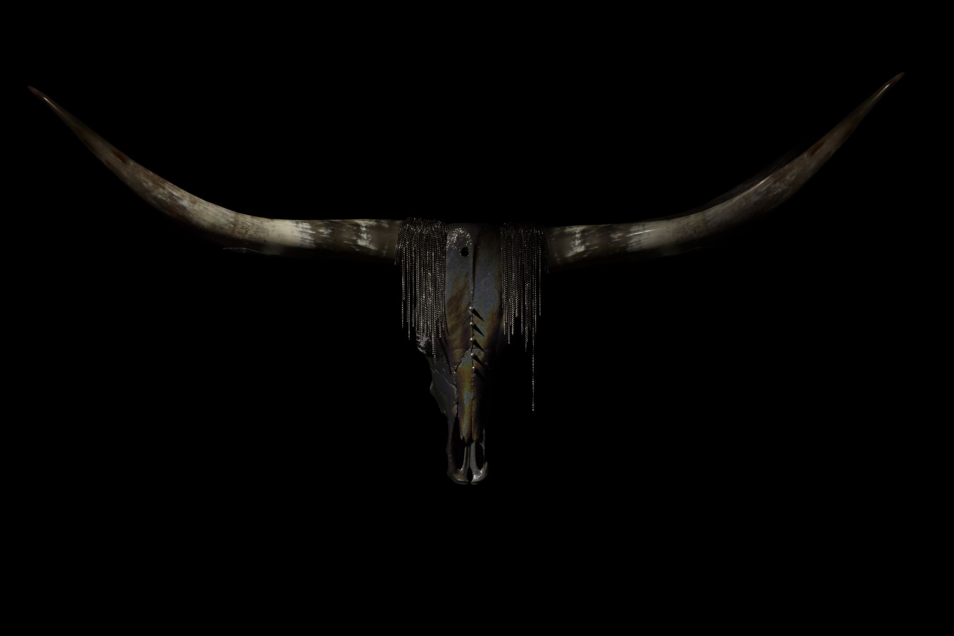 TEXAS LONGHORN PRINT ‘NAYATI’ LANDSCAPE skull photography limited edition