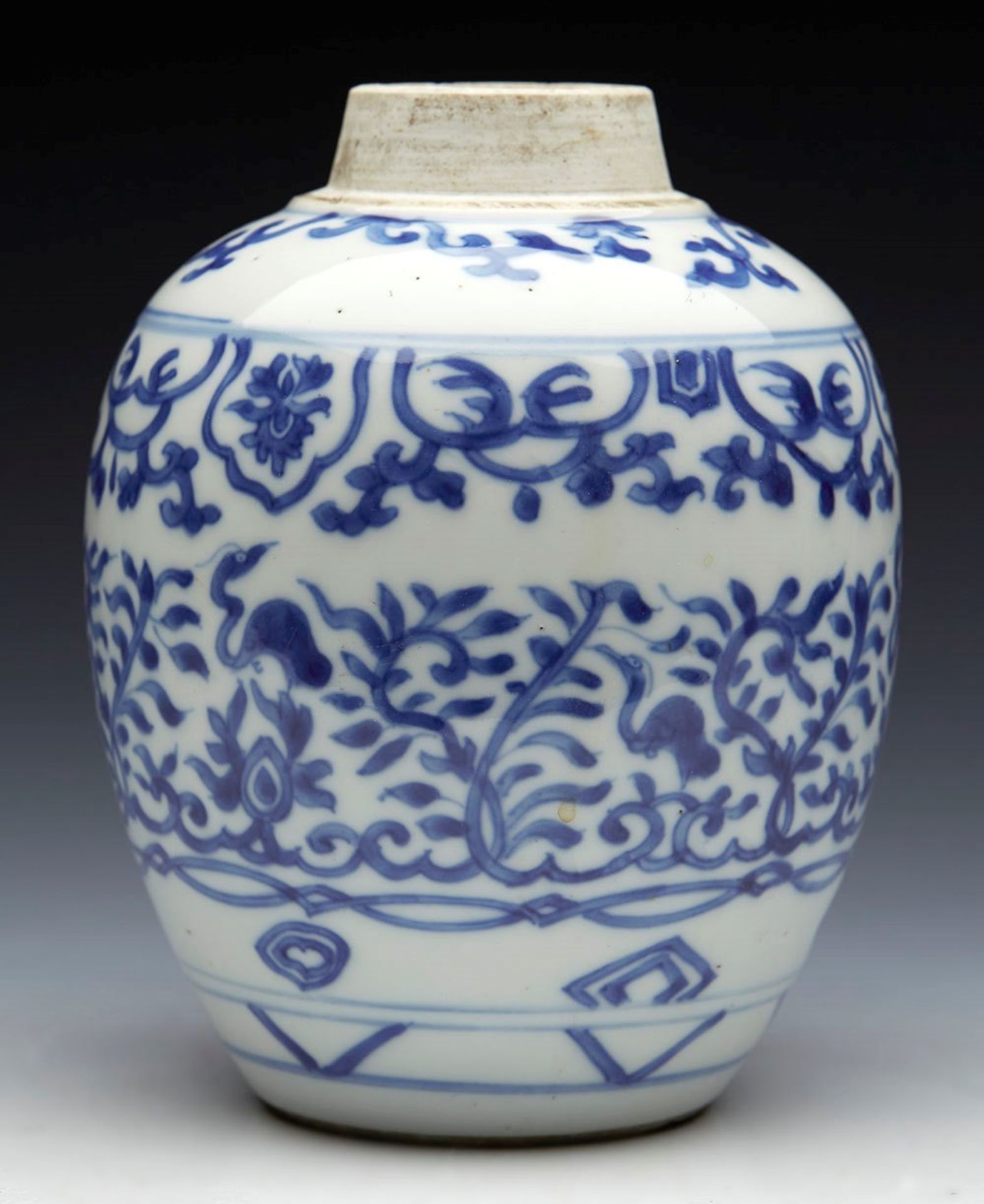 Antique Chinese Kangxi Jar With Exotic Birds 1662 - 1722 - Image 5 of 10