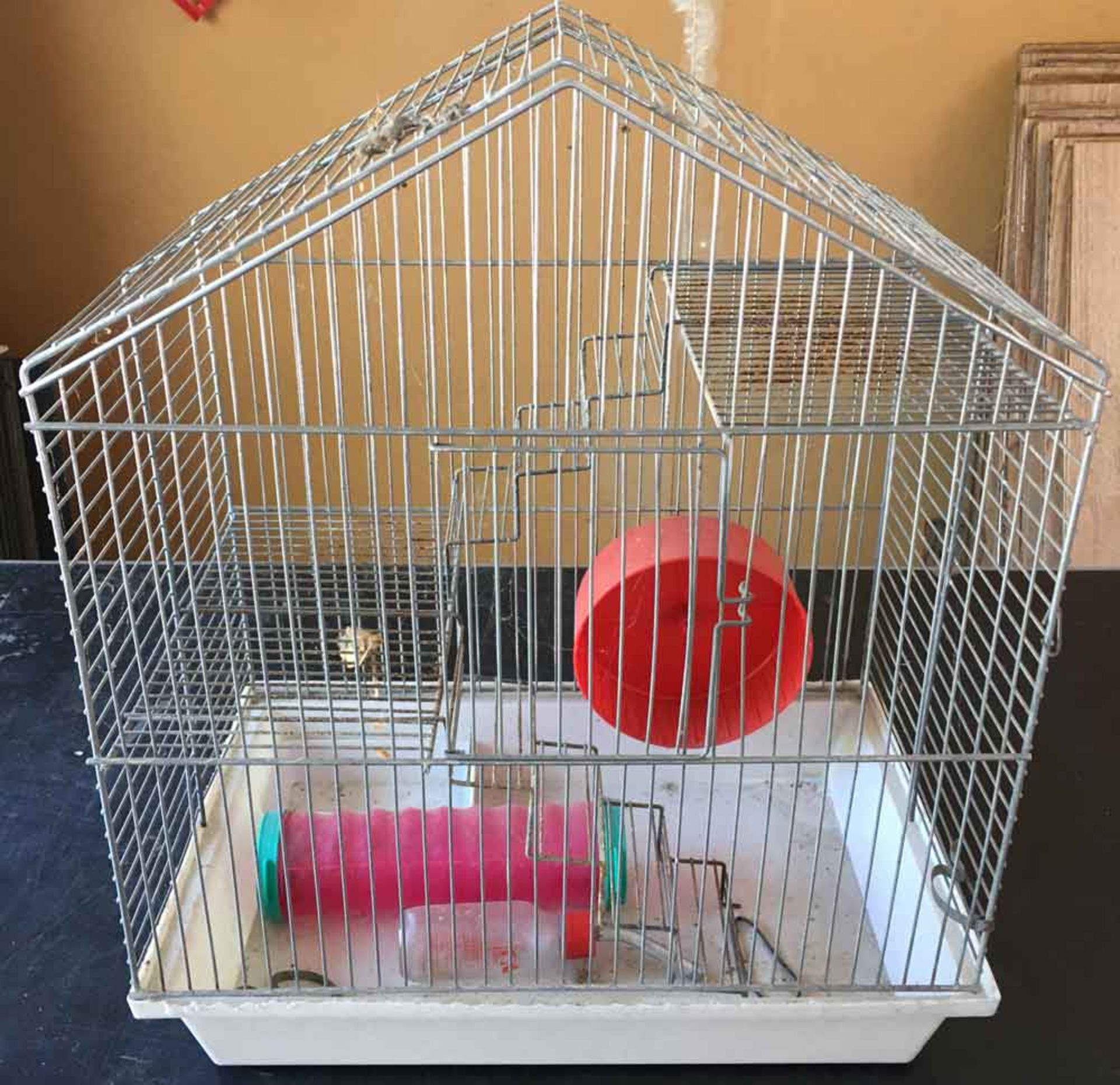 Hampster Cage