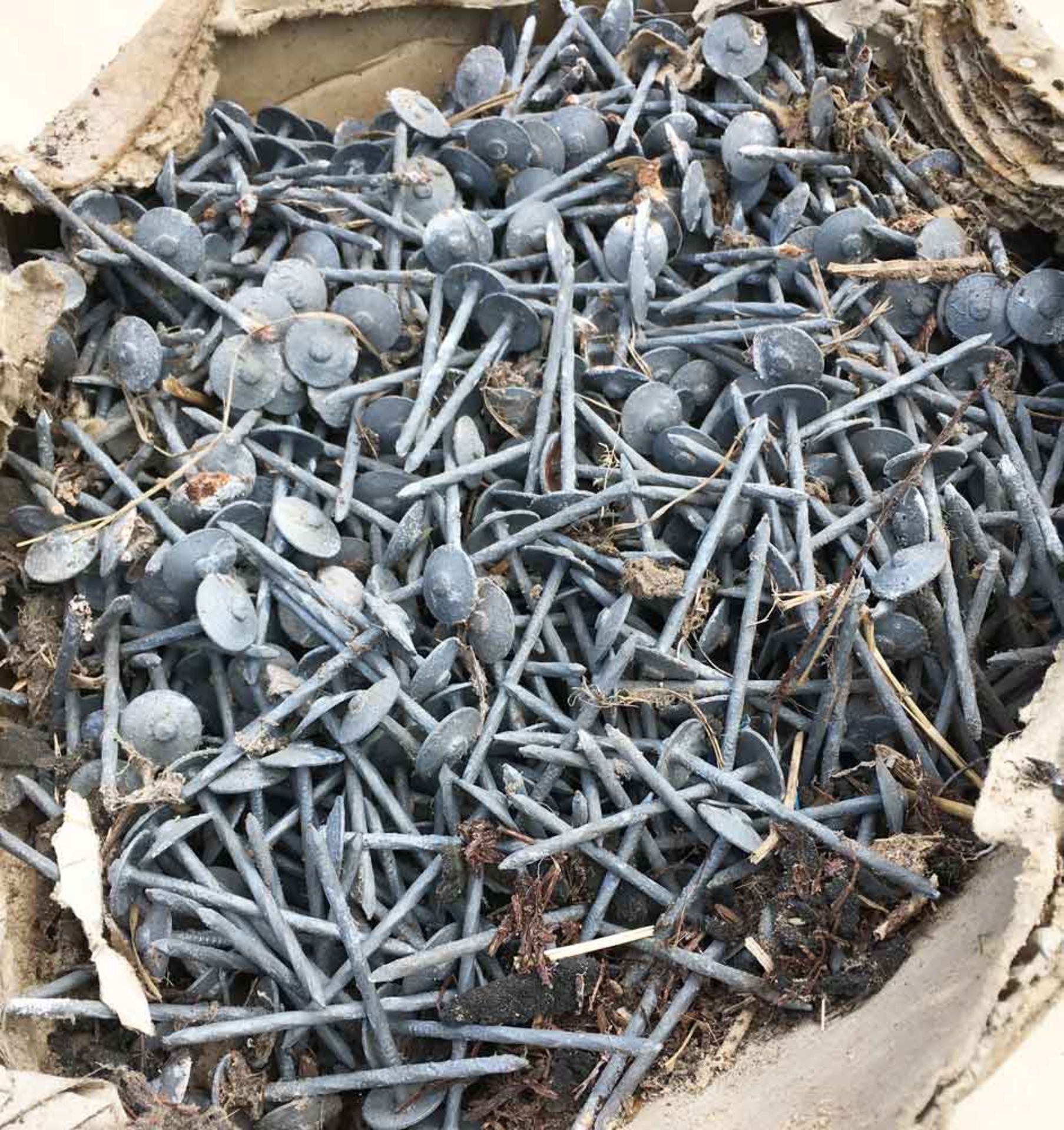 Box of Roof Sheeting Washered Nails