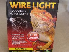 Lizard Lamp. Shipping available, no vat on hammer.