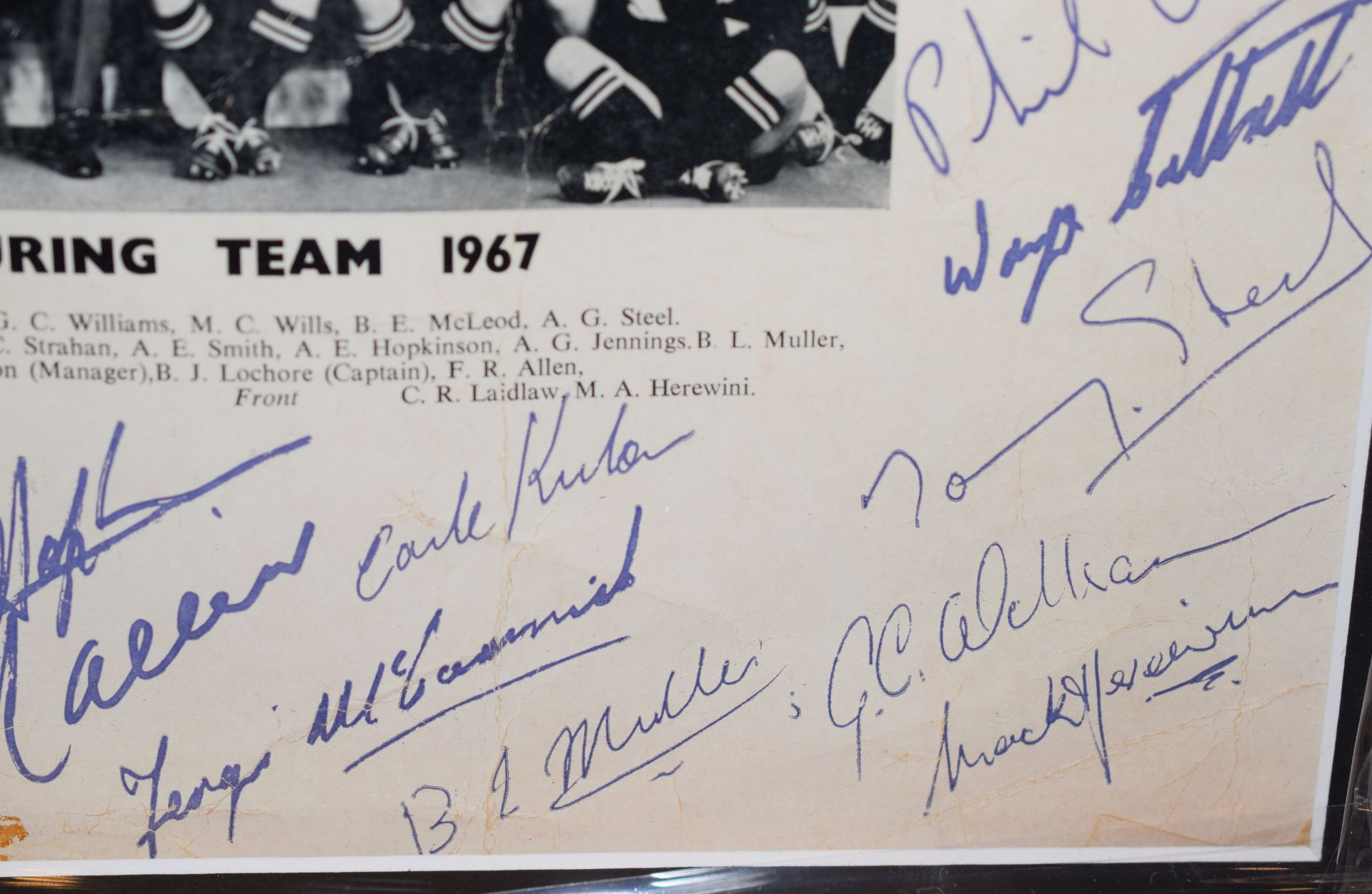 All Blacks Signed Photo 1967 - Image 4 of 4