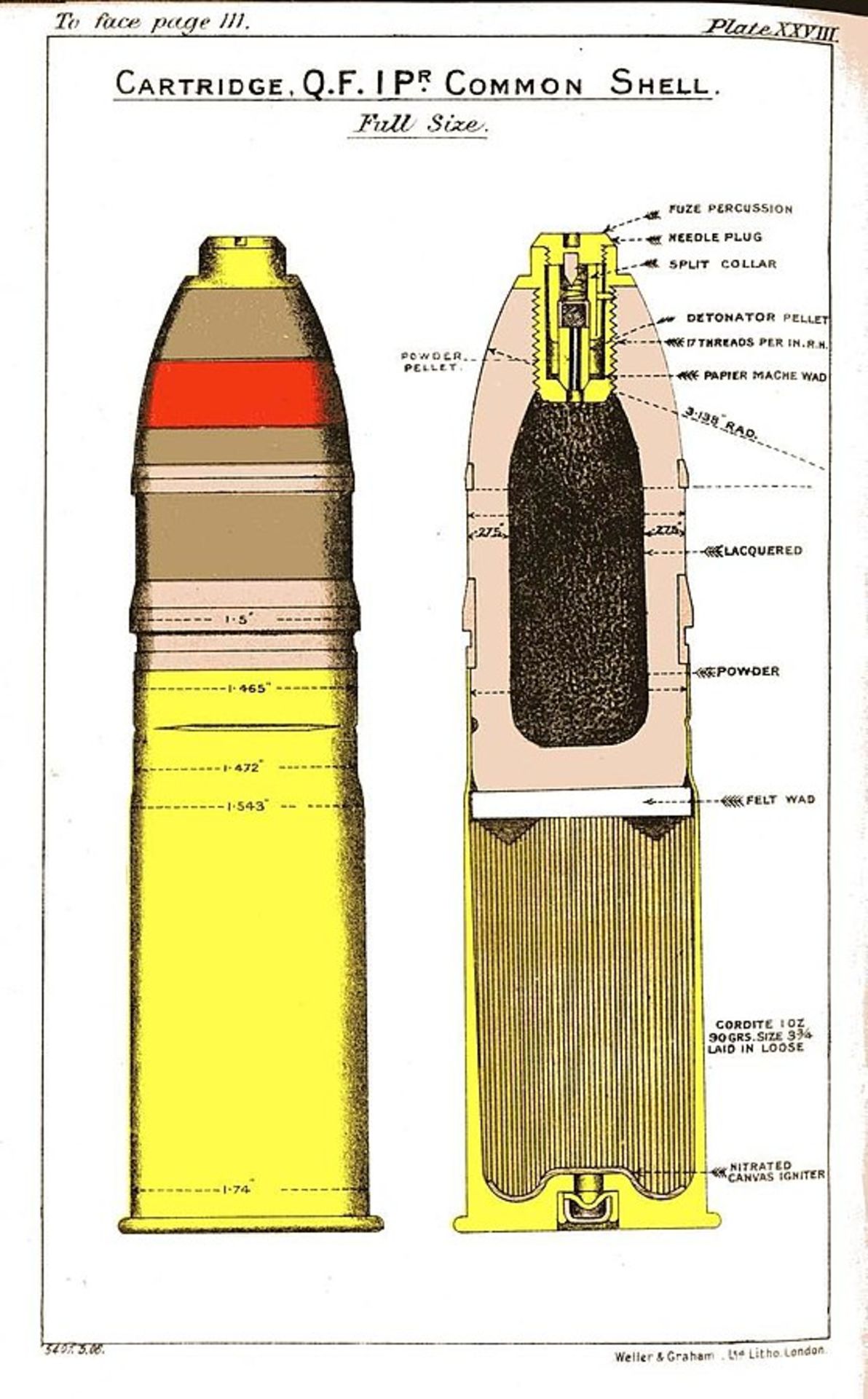 QF 1 Pounder Shell and Russian Shell Case - Image 3 of 3
