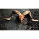 Reihte Ram Skull Sculpture Aries Tibetan Art