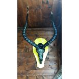 Lulu Swala African Impala skull sculpture decorated with mother of pearl and swarovski