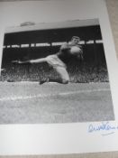 Manchester United FC Memorabilia/Signed Photograph