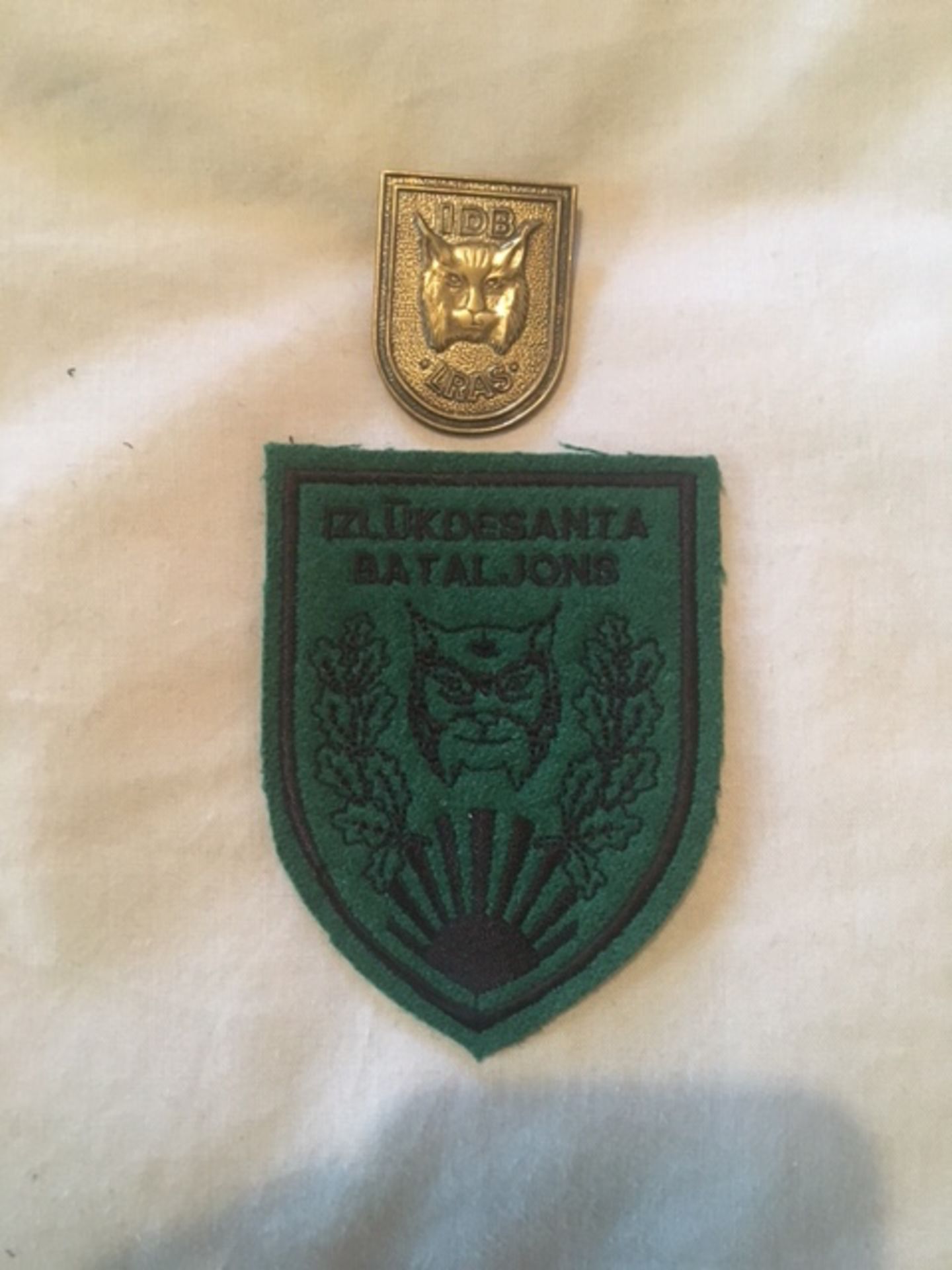 latvia amphibious recon btn cloth and brass badge