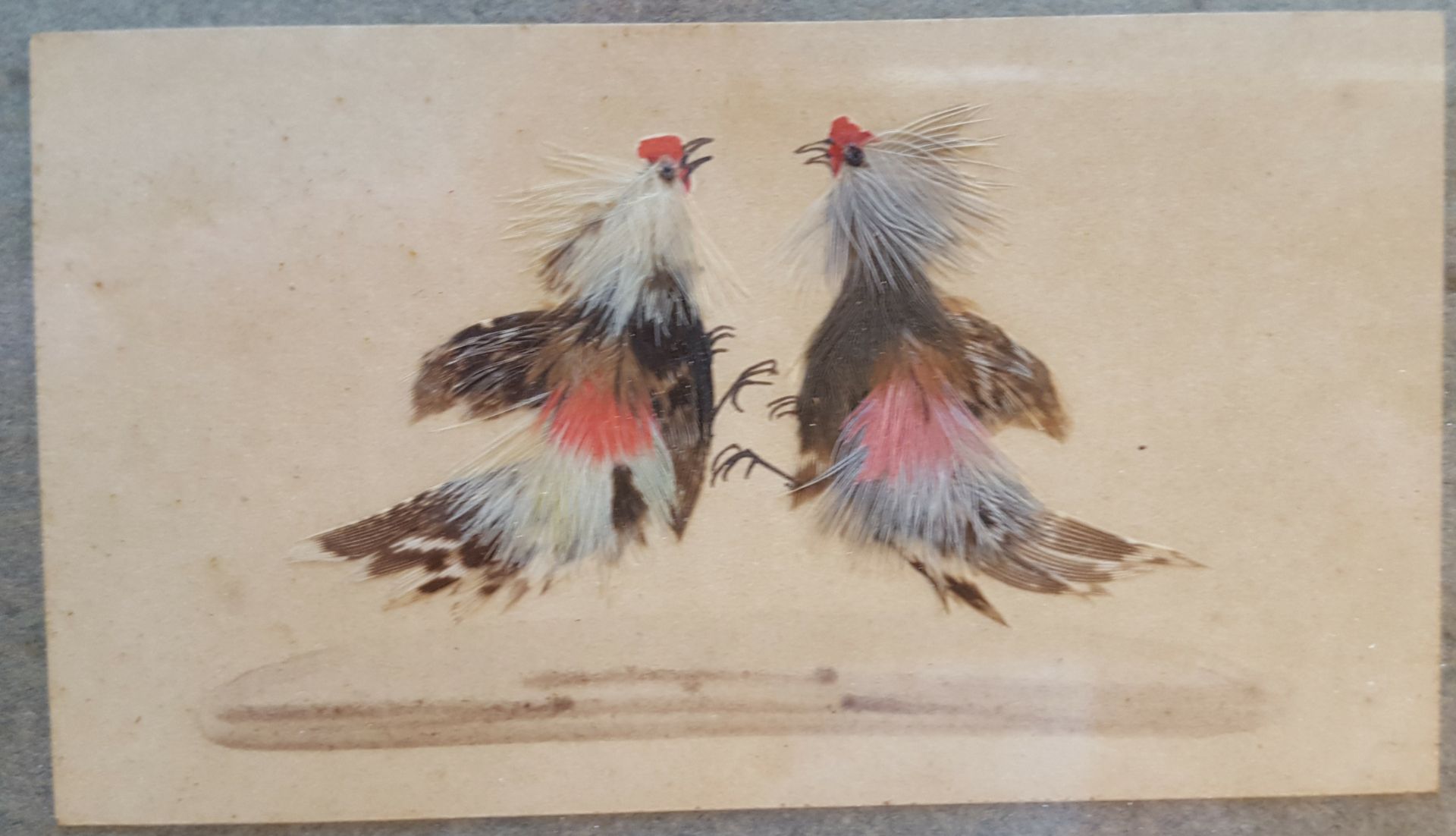 Antique Art Picture Fighting Cocks - Image 3 of 4