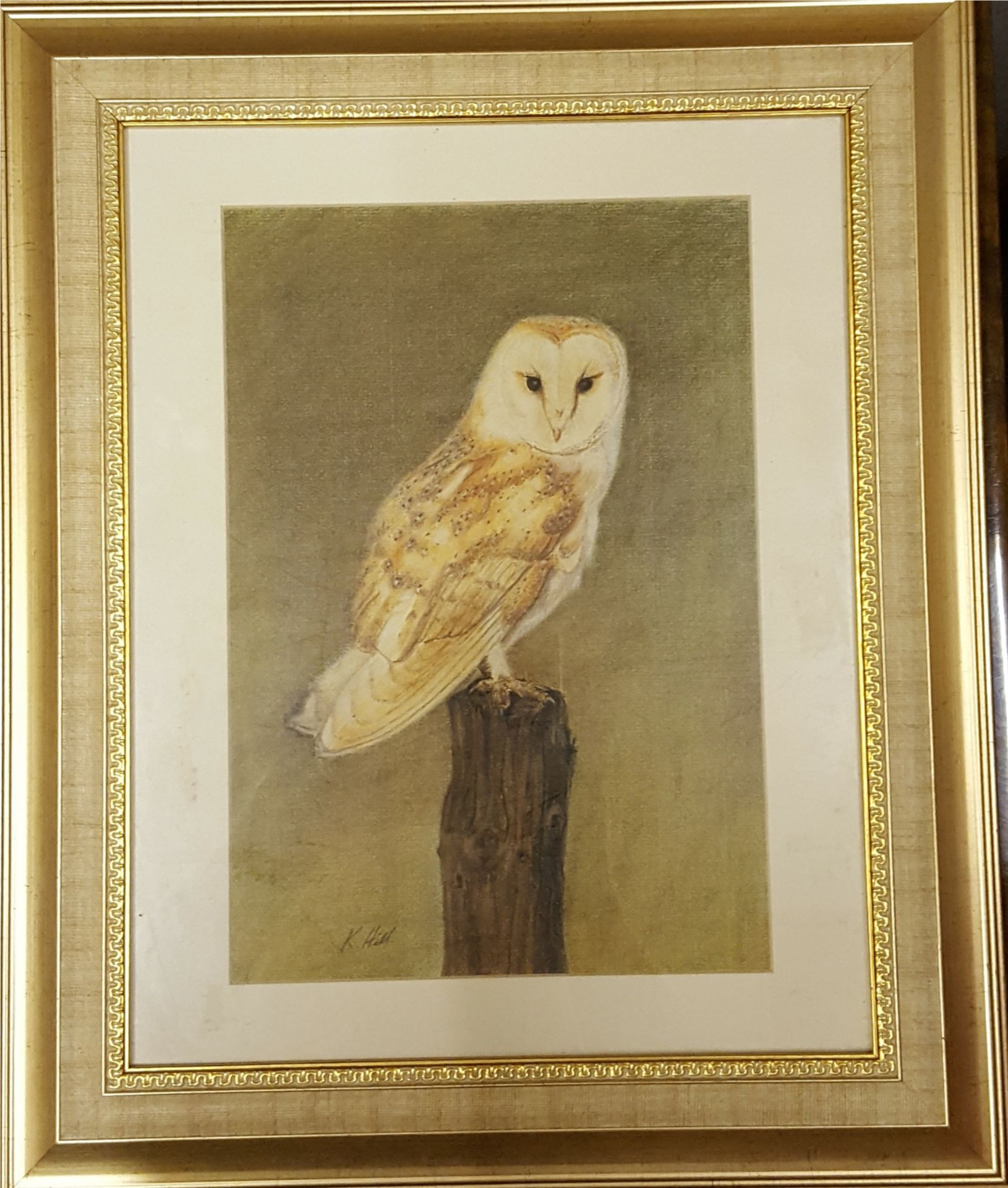 Vintage Art Barn Owl Pastel & Pencil on Board Framed & Signed K Hill