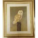 Vintage Art Barn Owl Pastel & Pencil on Board Framed & Signed K Hill