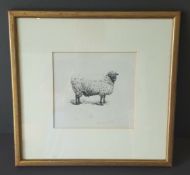 Vintage retro Pen & Ink Sketch Ram Sheep Dated November 20/73