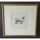 Vintage retro Pen & Ink Sketch Ram Sheep Dated November 20/73