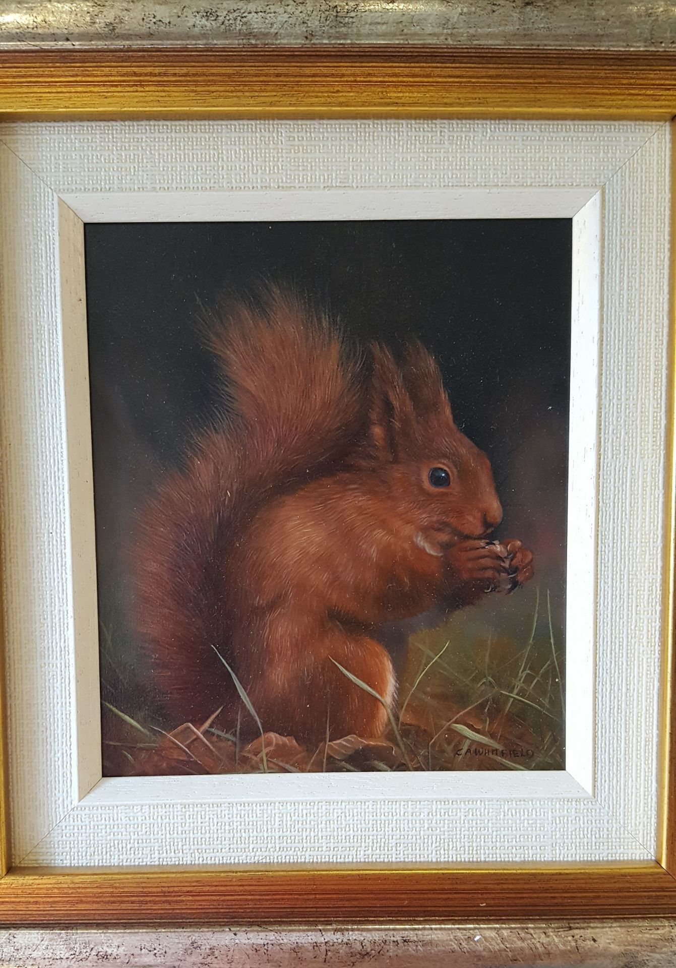 Original Art Framed Oil Painting on Board Red Squirrel signed lower right C A Whitfield - Image 3 of 3