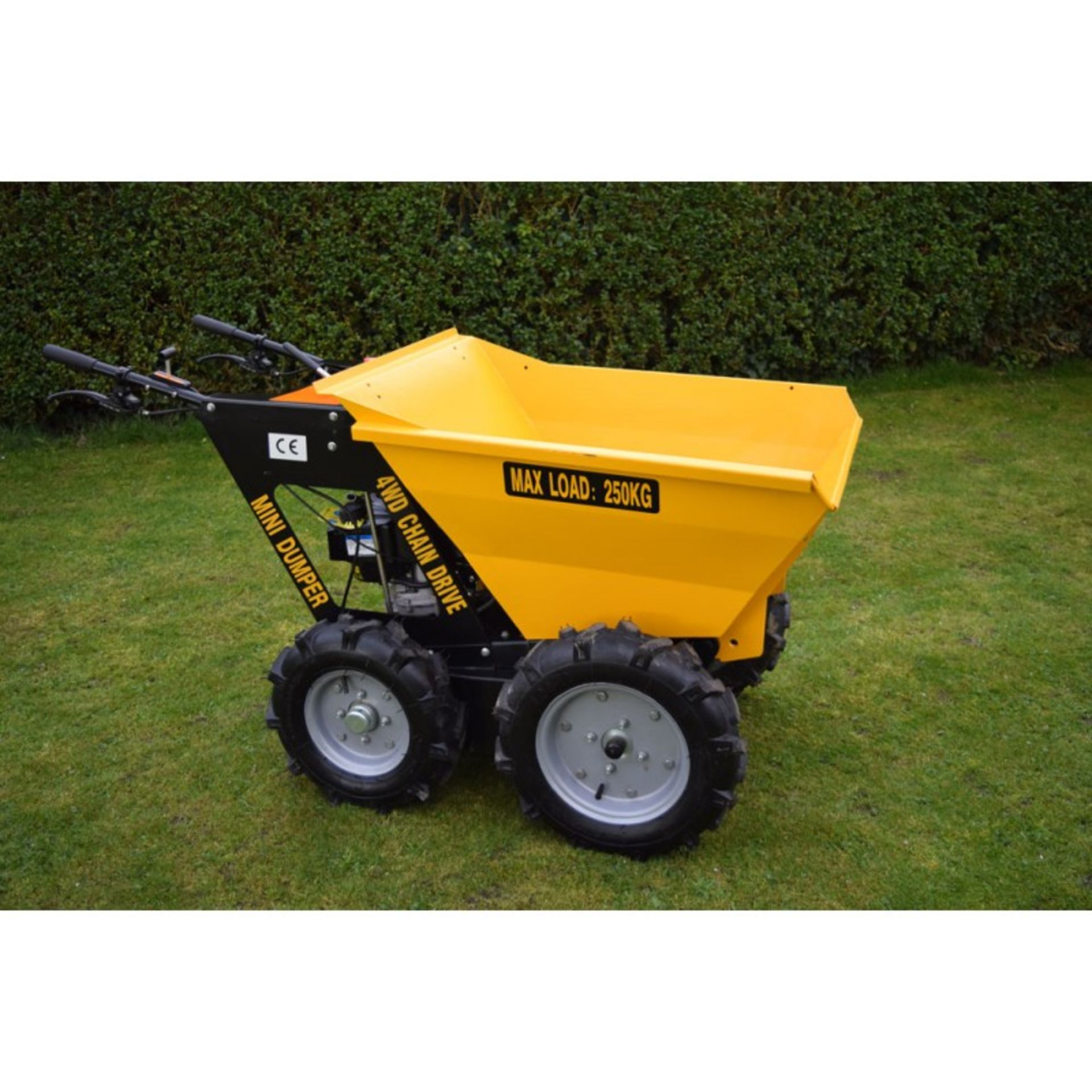 Unused 250kg Mini Dumper 4WD With Chain Drive B&S Engine