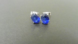 1.60ct Sapphire stud style earrings set in 9ct white gold. 7 x 5mm oval cut sapphires (glass filled)