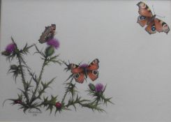 Botanical watercolour by David Lewins British artist Thistle and butterflies