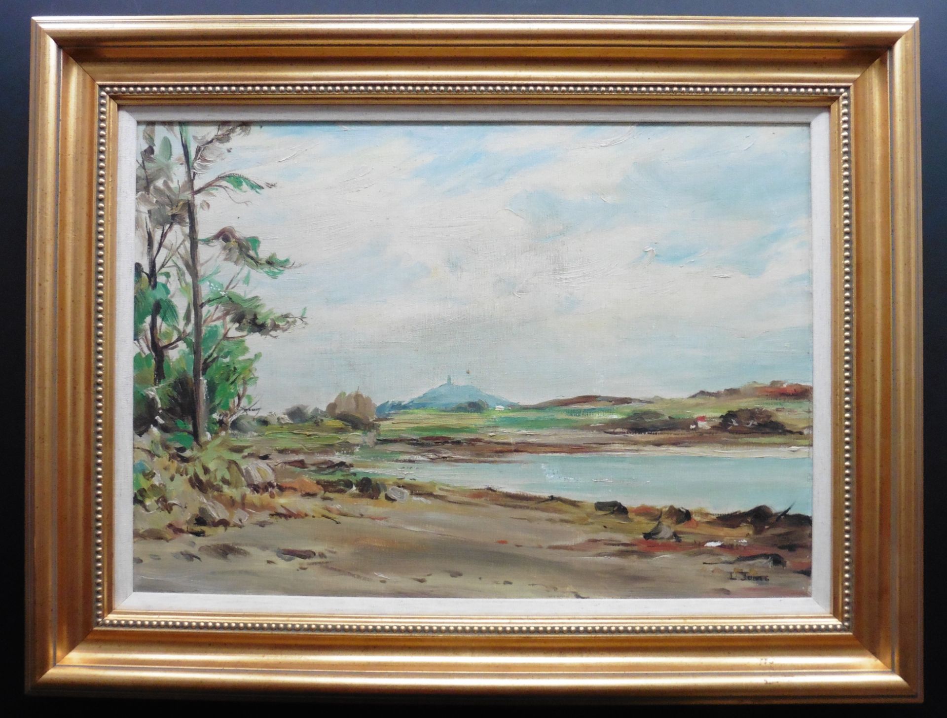 Strangford Lough signed by artist by L Jones, original signed oil painting - Image 2 of 8