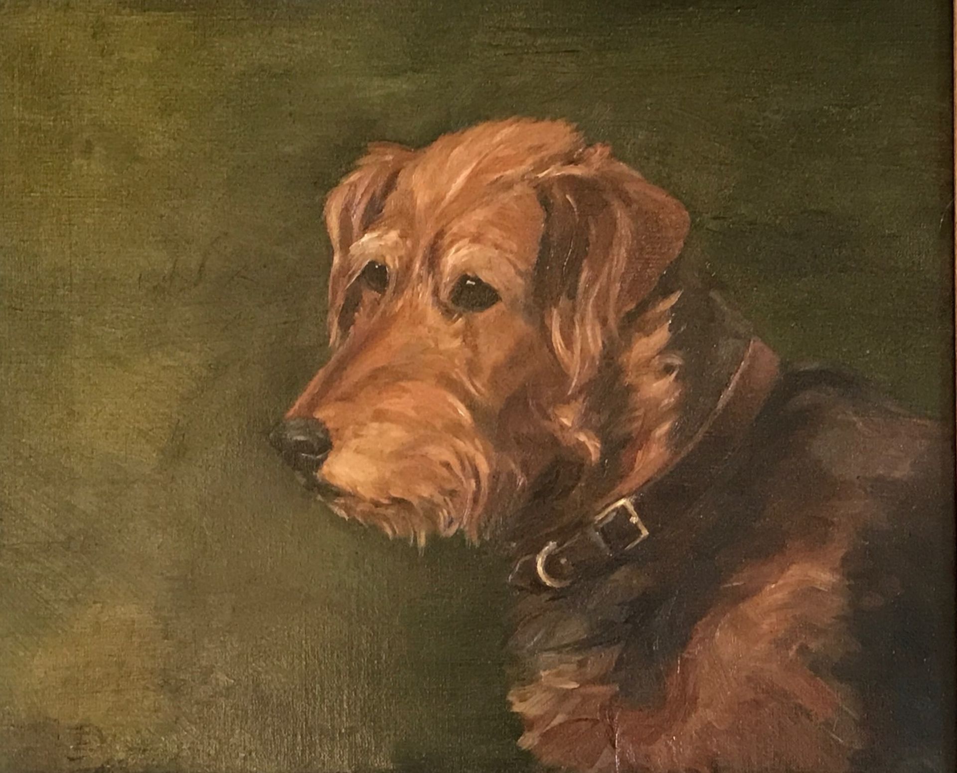 Terrier Dog, Original oil by Edward Julius Detmold 1883-1957