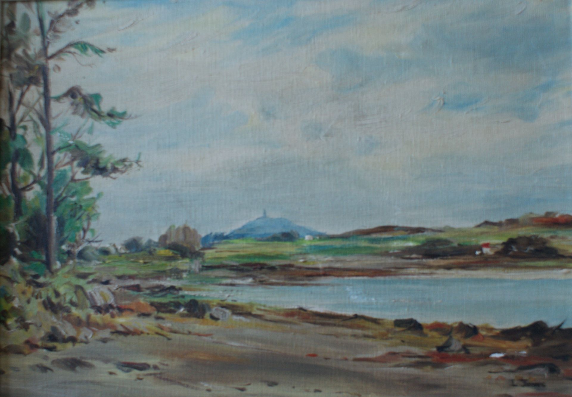 Strangford Lough signed by artist by L Jones, original signed oil painting - Image 3 of 8