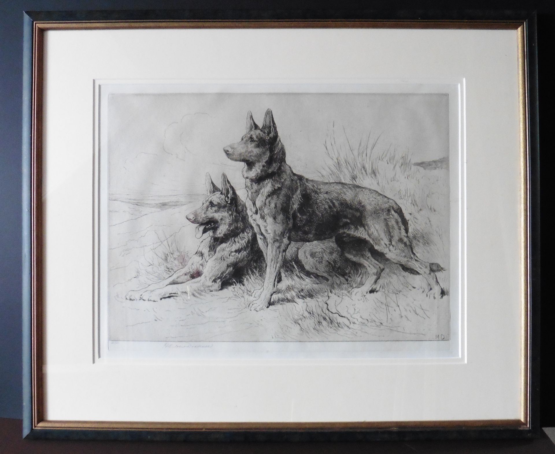 Alsatians German Shepherd etching by Herbert Thomas Dicksee RE (English, 1862 - 1942) - Image 2 of 6