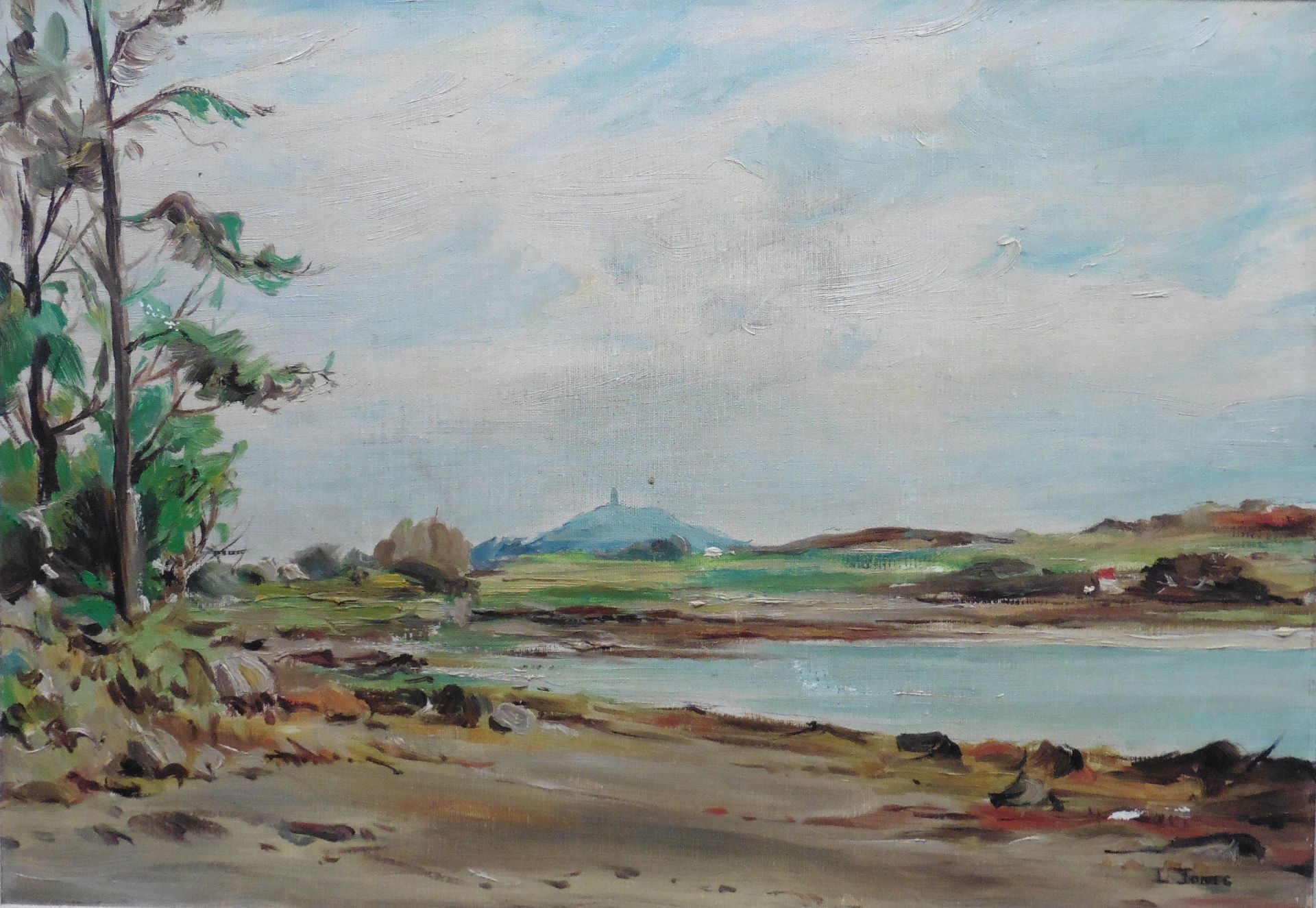 Strangford Lough signed by artist by L Jones, original signed oil painting