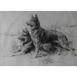 Alsatians German Shepherd etching by Herbert Thomas Dicksee RE (English, 1862 - 1942)