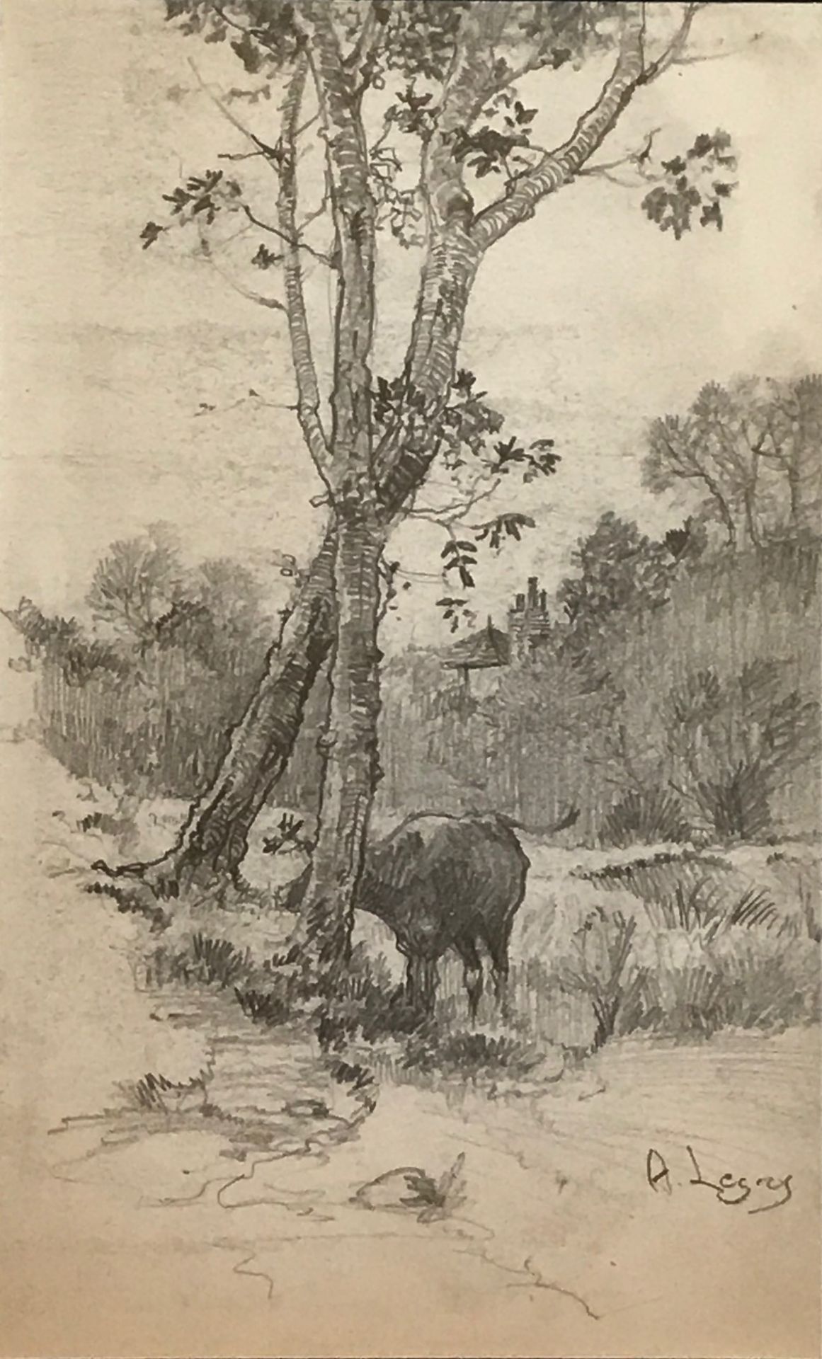 Cow at a water Meadow, Original pencil drawing by Alphonse Legros 1837-1911, Exhibited R.A, R.S.A