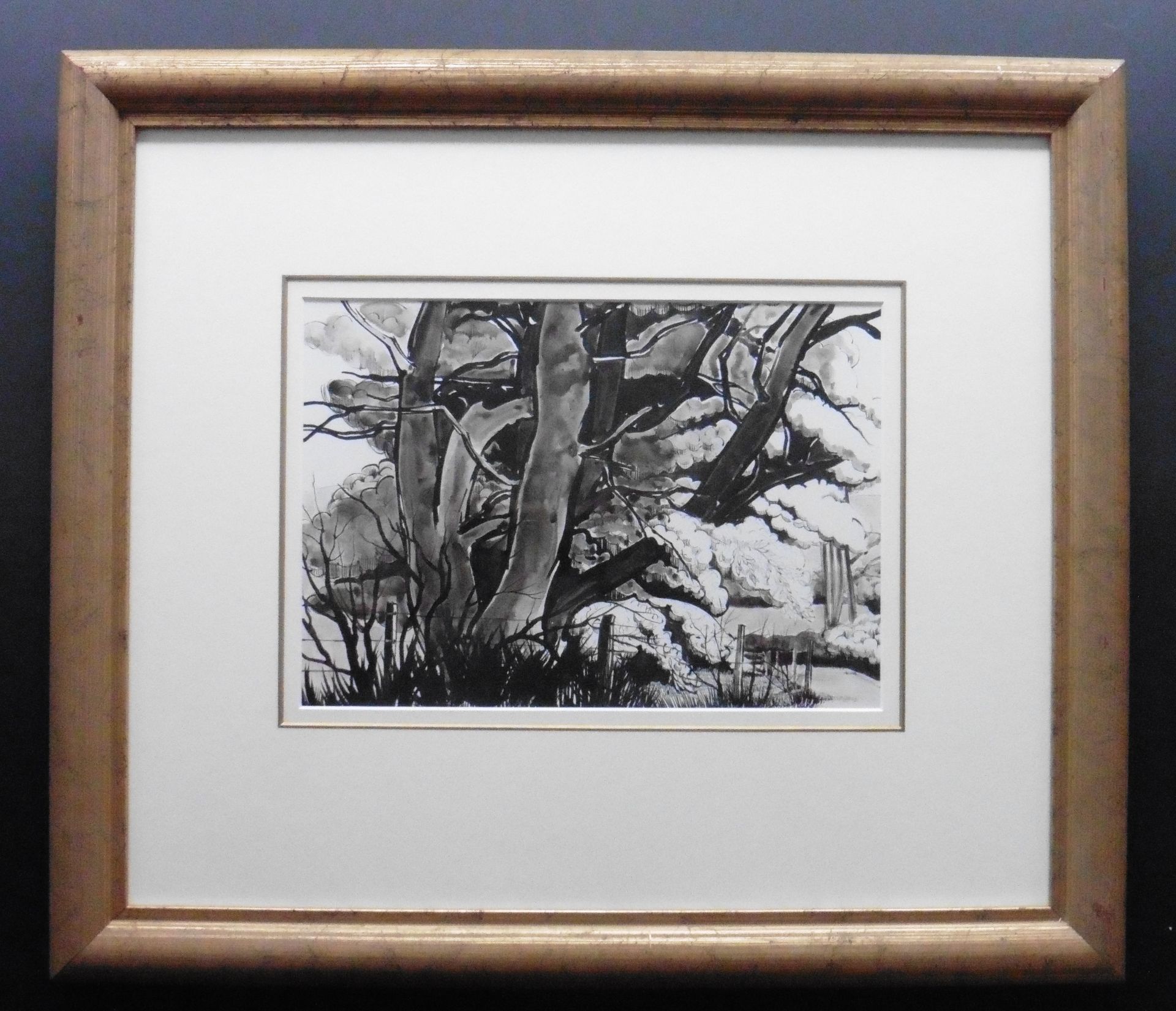 Joyce M Young R.A, R.S.A Pen and Ink The old Oak - Image 2 of 5