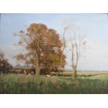 Golden Sunlight Cattle sheltering under tree Original oil by George Neil