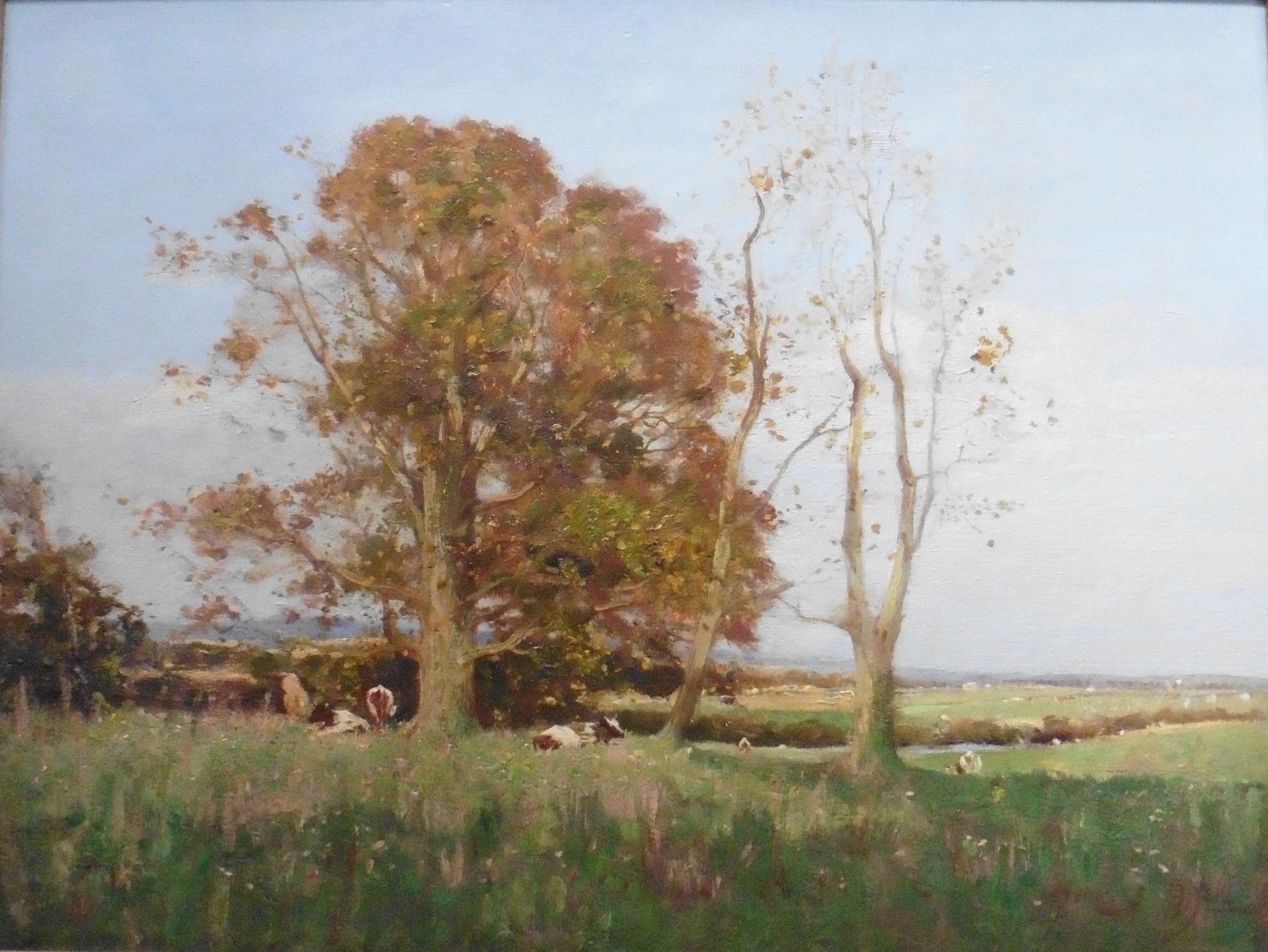 Golden Sunlight Cattle sheltering under tree Original oil by George Neil