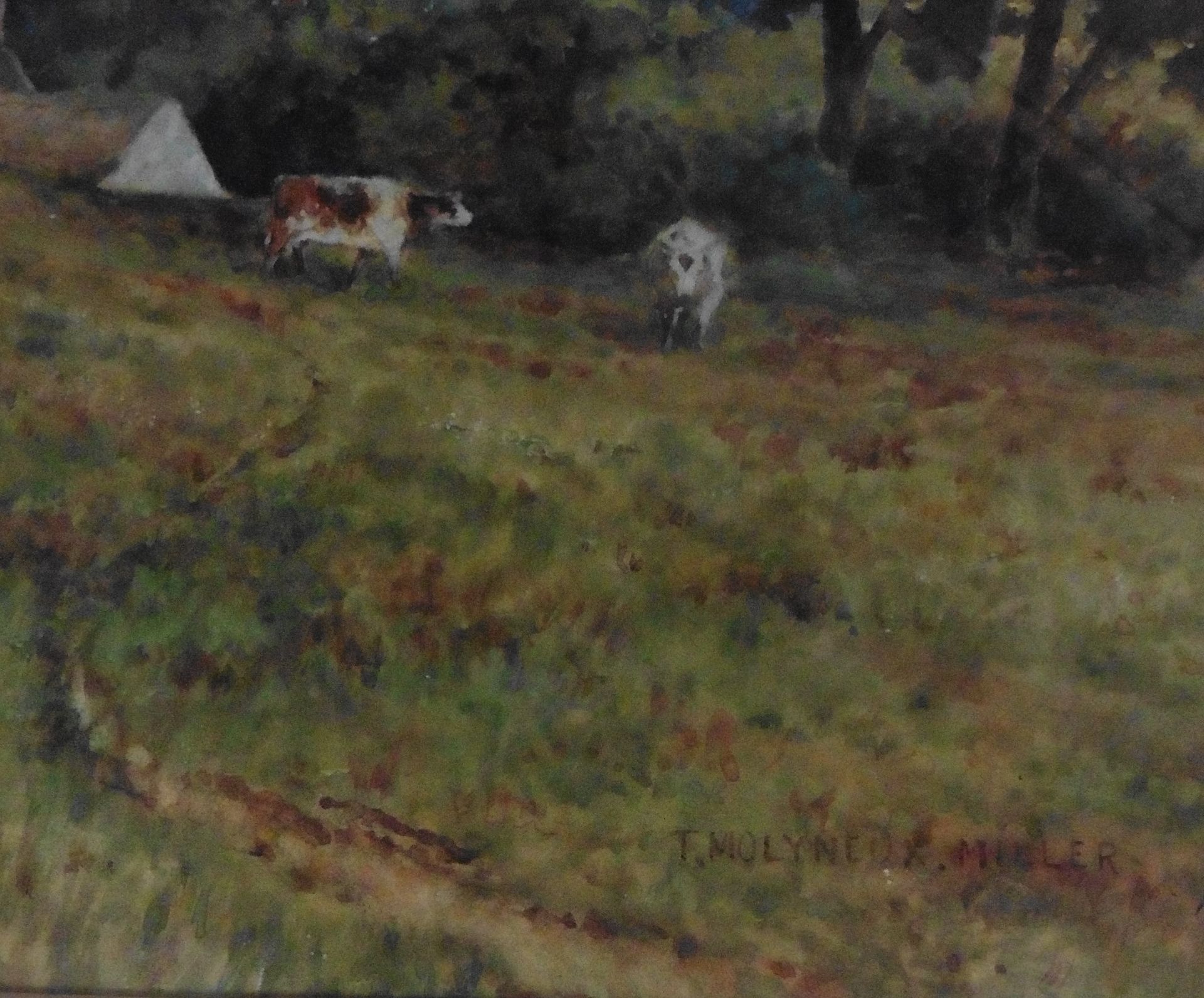 Engilsh School,Original water colour signed by the artist T Molyneux Miller depicting cattle grazing - Image 3 of 3