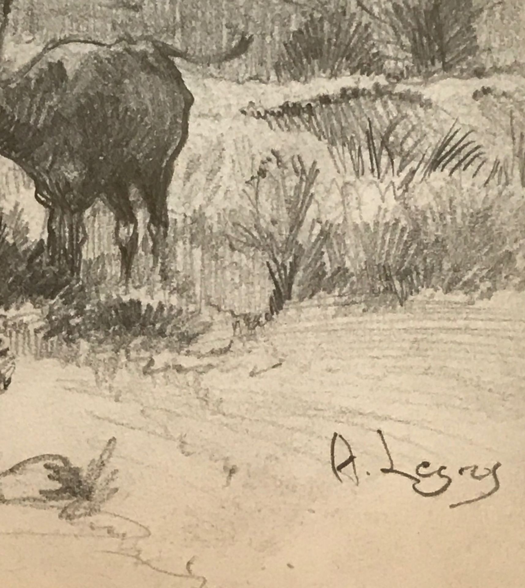 Cow at a water Meadow, Original pencil drawing by Alphonse Legros 1837-1911, Exhibited R.A, R.S.A - Image 3 of 4