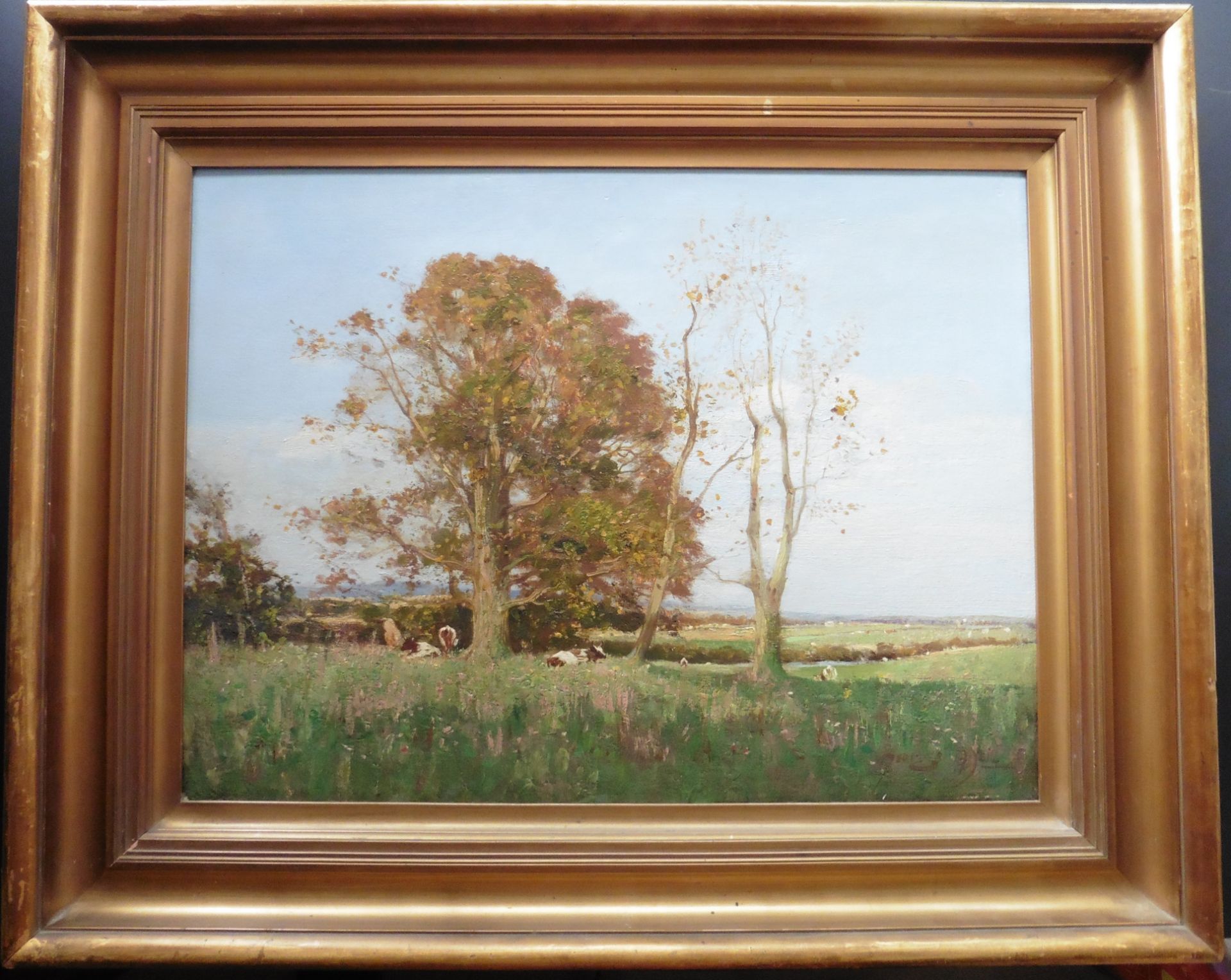 Golden Sunlight Cattle sheltering under tree Original oil by George Neil - Image 2 of 6