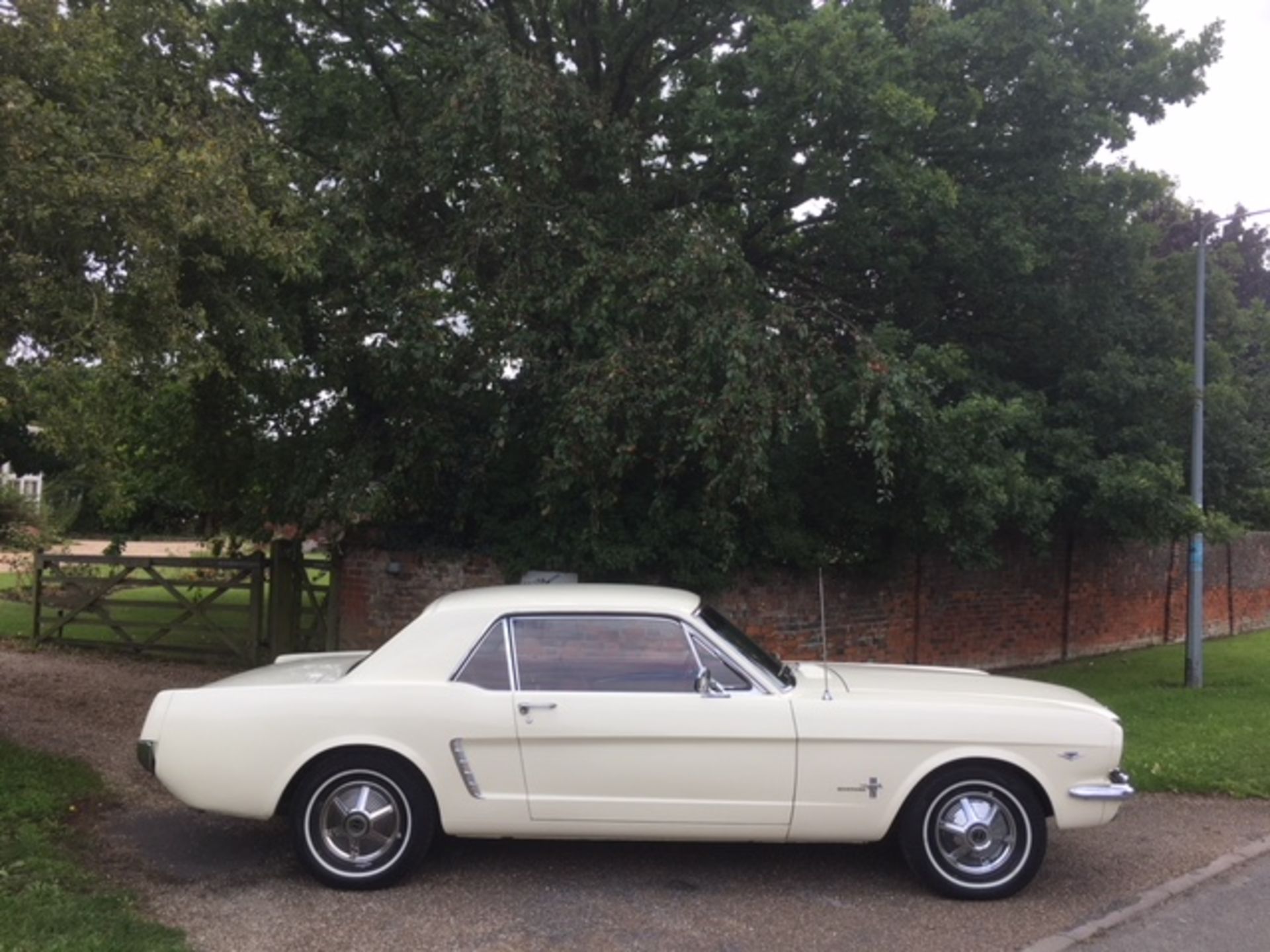 Ford Mustang 1964 289 V8 4 speed manual - Image 16 of 33