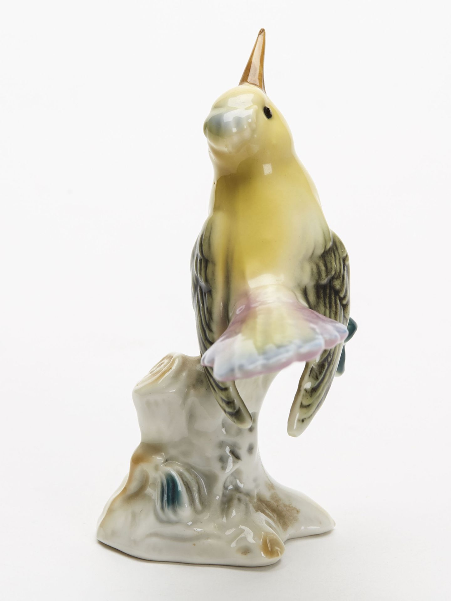 Vintage Dresden Porcelain Exotic Bird Figure 20Th C. - Image 3 of 8