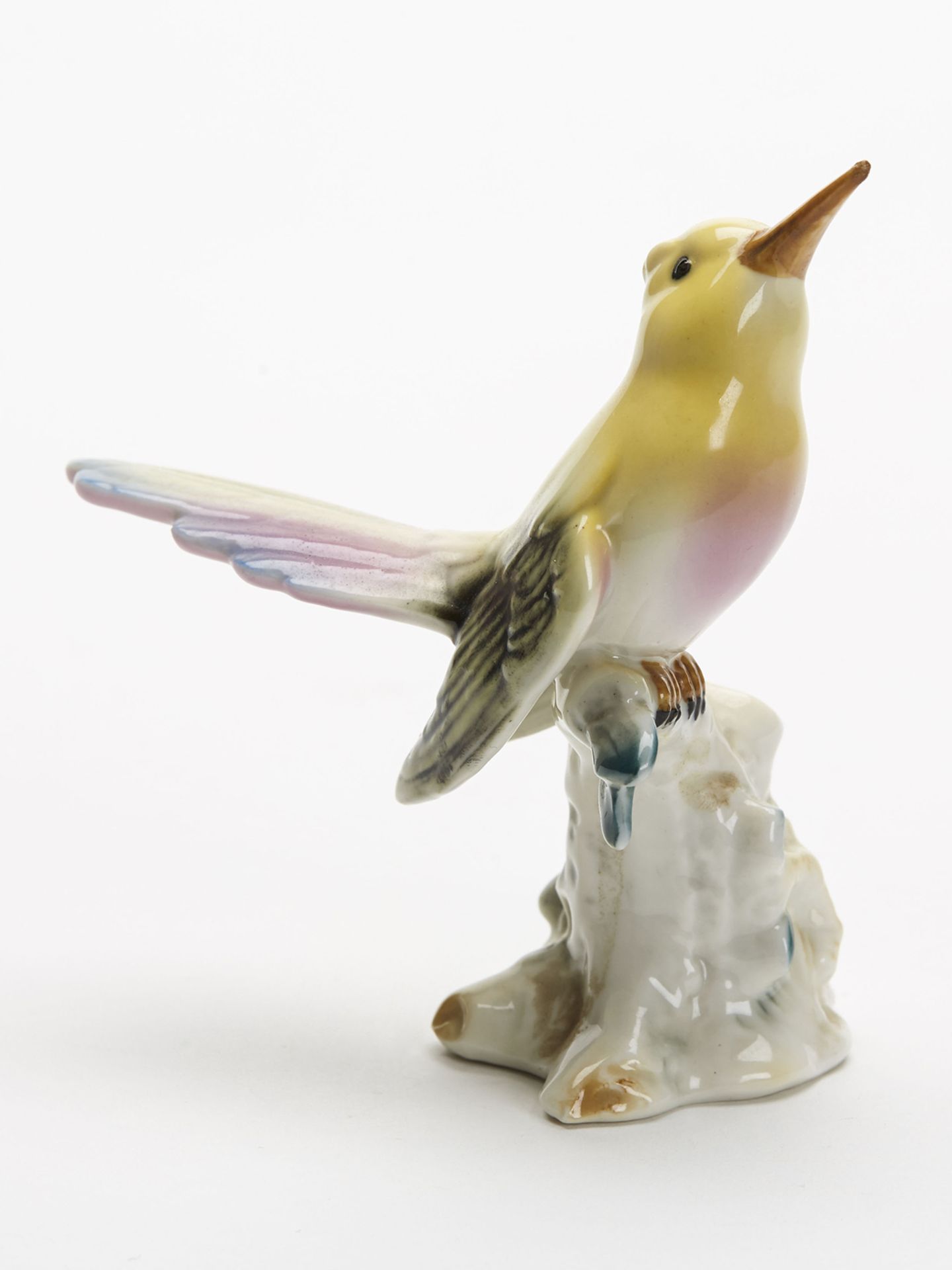 Vintage Dresden Porcelain Exotic Bird Figure 20Th C. - Image 5 of 8