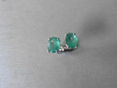 1.60ct emerald stud style earrings set in 9ct white gold. 7 x 5mm oval cut emeralds ( treated) set